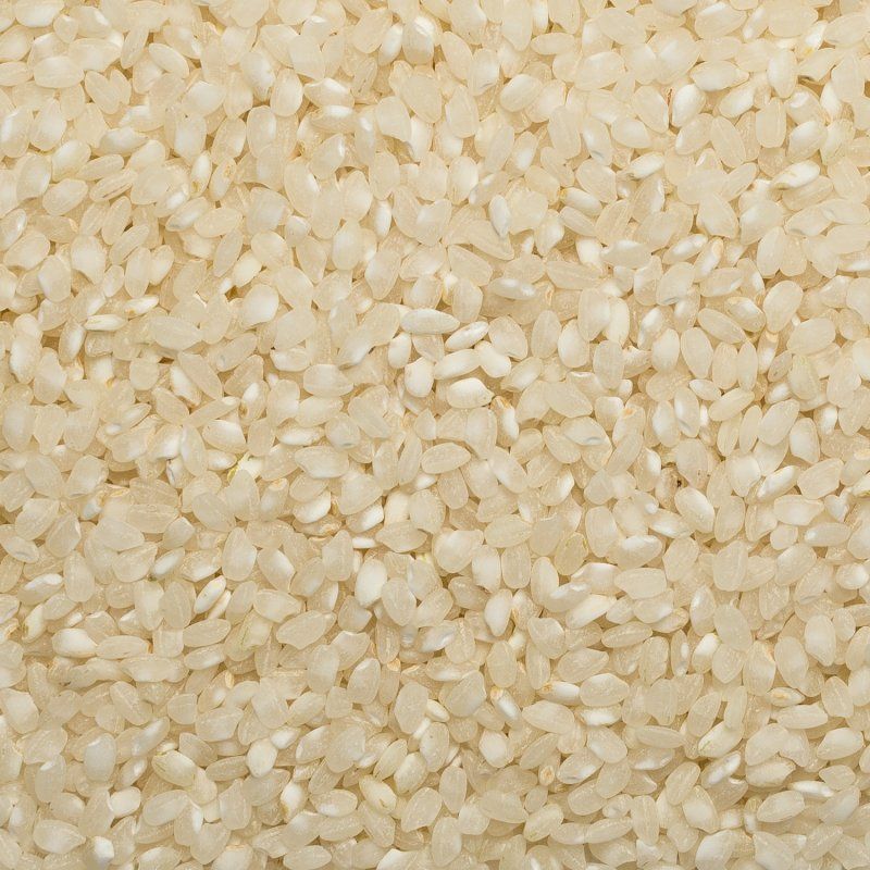 Riz rond blanc BIO 25kg | Couleur Nature
